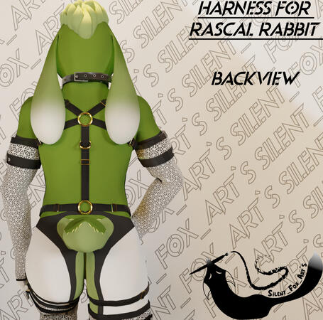 Harness Rabbit Back